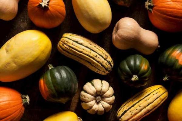 تمام منابع سرشار از اسیدهای چرب امگا 3