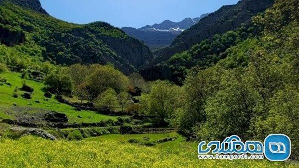 معرفی تعدادی از جاذبه های گردشگری باشت