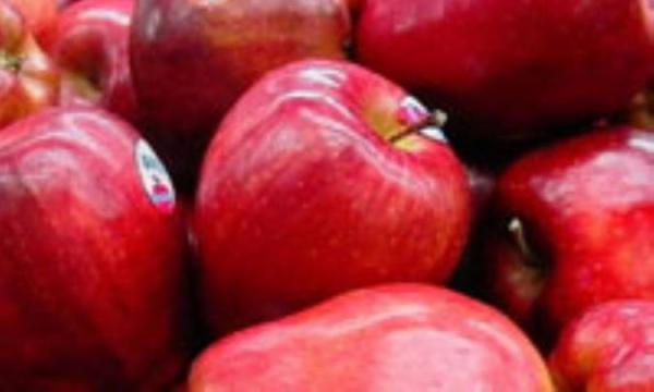 سدیم یک سیب برای 24 ساعت سدیم یک سیب برای 24 ساعت