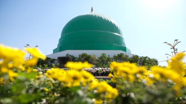 شاخه گل هایی که میهمان و زائر بارگاه ملکوتی حضرت رضا (ع) شدند