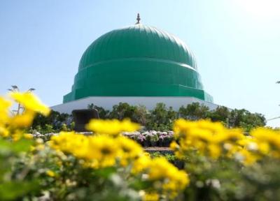 شاخه گل هایی که میهمان و زائر بارگاه ملکوتی حضرت رضا (ع) شدند